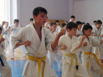 Сборами и экзаменом завершился учебно-тренировочный сезон для спортсменов Федерации Кёкусинкай Чувашской республики