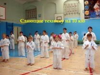 Учебно-тренеровочным семинаром и экзаменом завершился сезон для спортсменов Федерации Кёкусинкай Чувашской республики